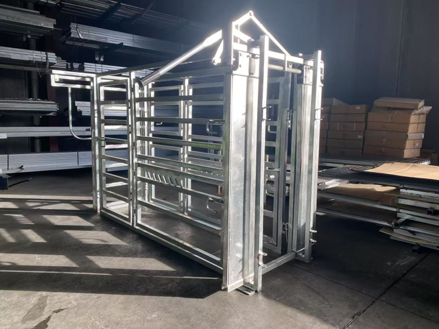 Cattle Crush 3200mmL*850mmW*200mmH