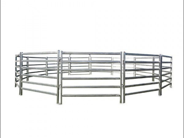 Horse Panels in Australia