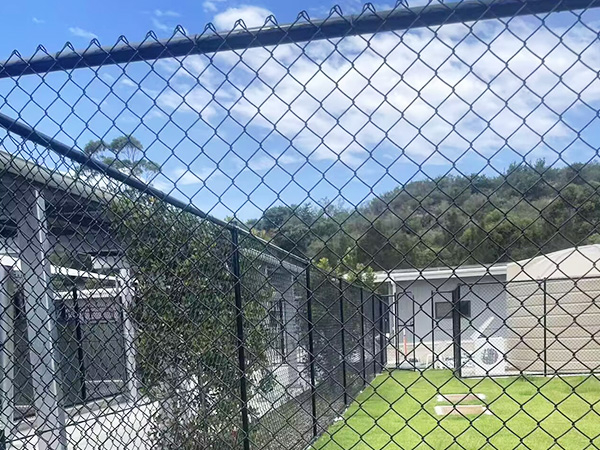  Chain Wire Fencing